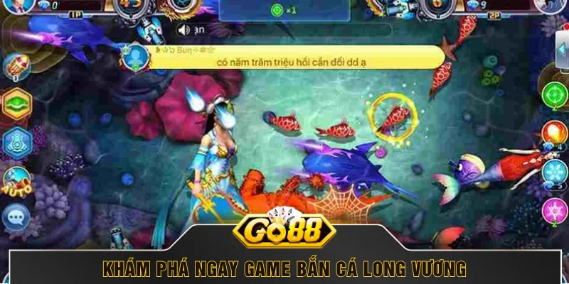 Các quy định và luật chơi trong săn cá Long Vương