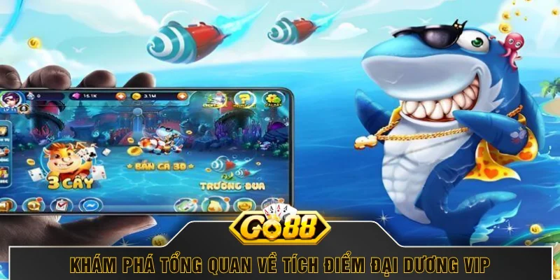 Khám phá tổng quan về tích điểm đại dương VIP