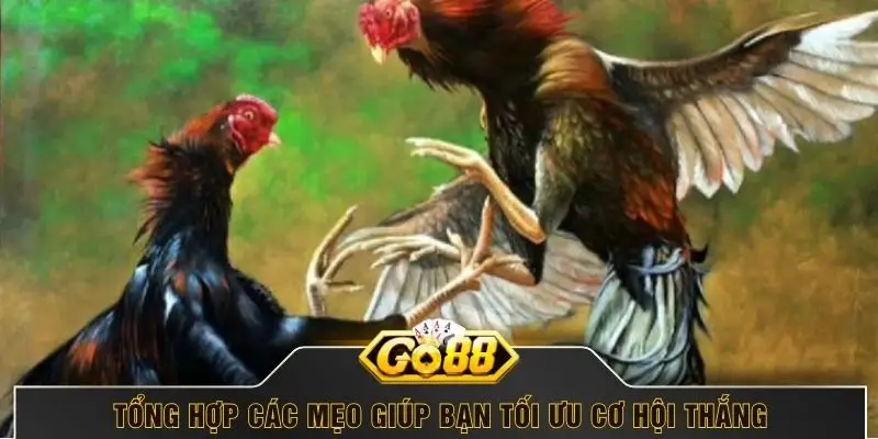 Tổng hợp các mẹo giúp bạn tối ưu cơ hội thắng